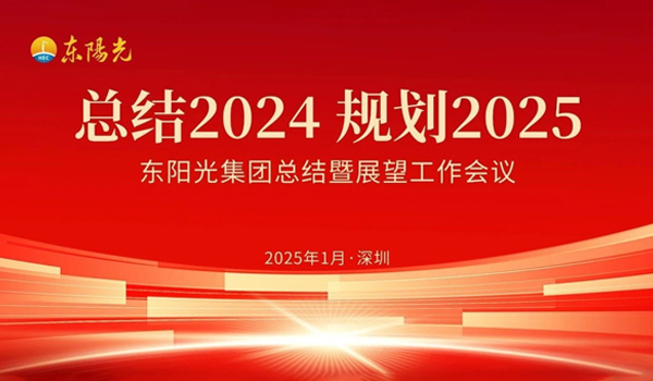 B体育集团董事会2025年第一次会议暨“总结2024 规划2025”工作会议在广东深圳成功召开
